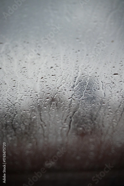 Obraz raindrops on the window