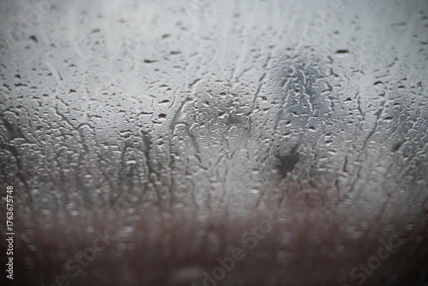 Obraz raindrops on the glass