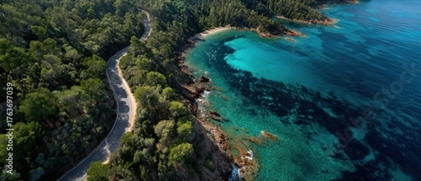 Obraz Coastal road winding through lush landscape