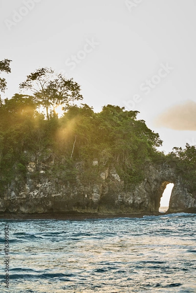 Obraz landscape with trees