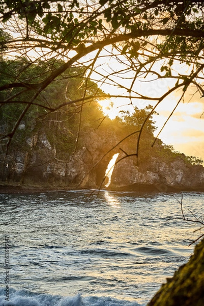 Obraz sunset in the forest