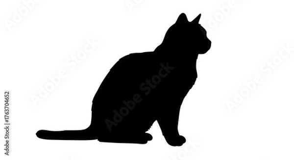 Obraz Black Cat Silhouette in Sitting Position on White Background