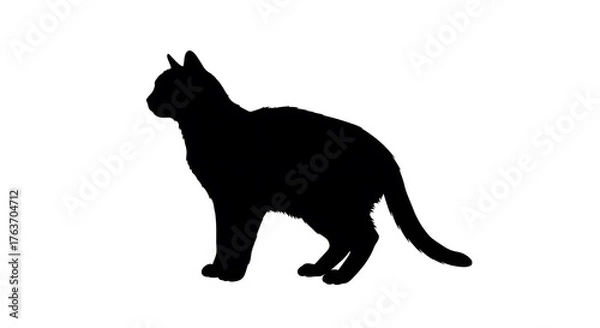 Obraz cat silhouette isolated on white background