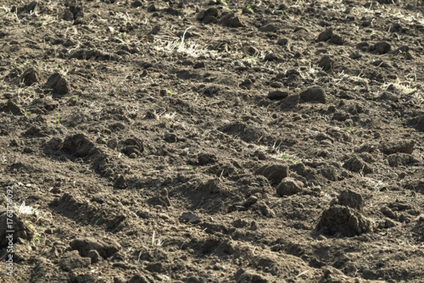 Fototapeta Close-up of freshly tilled soil on agricultural field.  Concept of farming, growth, and land cultivation.