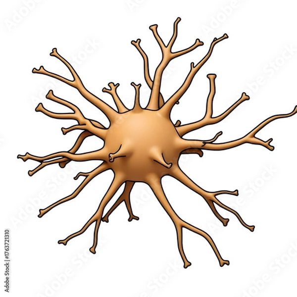 Obraz Detailed 3d rendering of a neuron cell isolated on transparent background