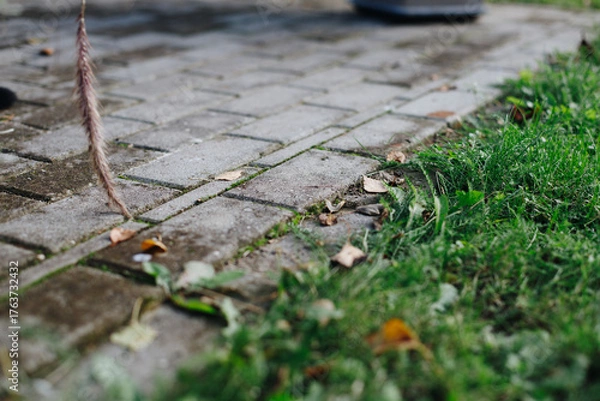 Fototapeta close-up of a rectangular gray pavement next to green grass covered with orange autumn leaves.