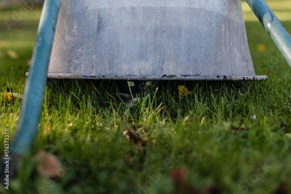 Fototapeta black cat with a white neck is hiding under a metal wheelbarrow that has been turned upside down in the green grass covered with colorful autumn leaves.