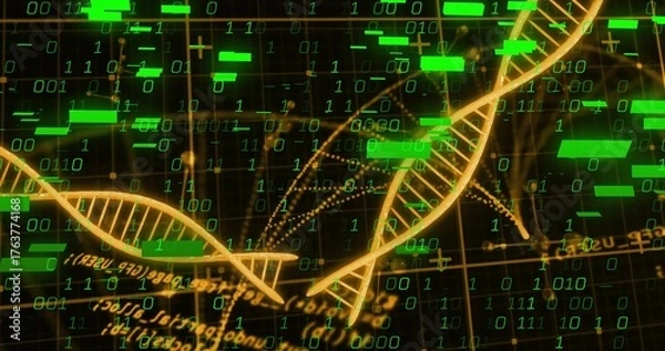Obraz Twisting golden DNA strands over dark grid in data interface, with green binary digits, data bars