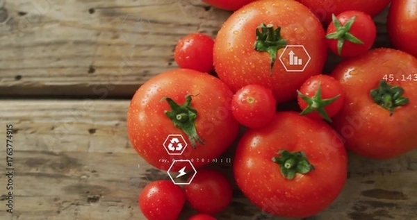 Fototapeta Showing cluster of ripe red tomatoes glistening in water drops on rustic counter with digital icons