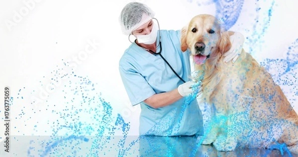 Fototapeta Examining vet in scrubs placing stethoscope on golden retriever on exam table, with blue particles
