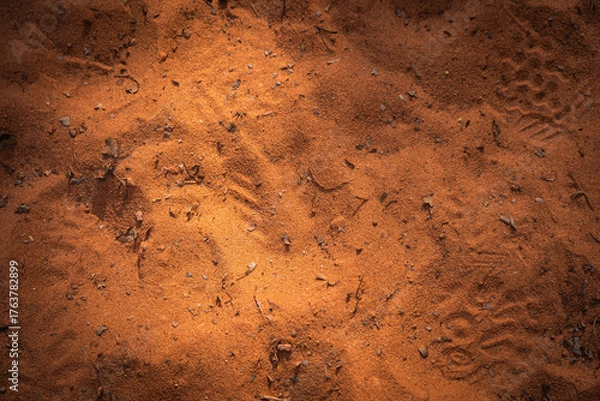 Obraz desert texture sand