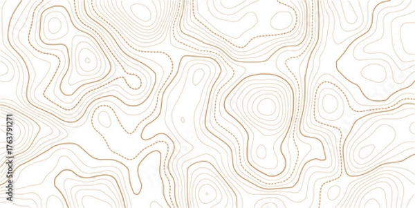 Fototapeta Topographic map with contour lines. Geographic terrain grid, relief height elevation. Ground path pattern. Travel and cartography design element. Vector illustration
