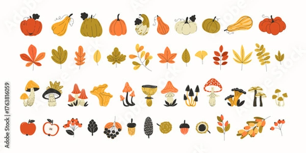 Fototapeta Big autumn set of seasonal elements: pumpkins, leaves, mushrooms, fruits, and berries
