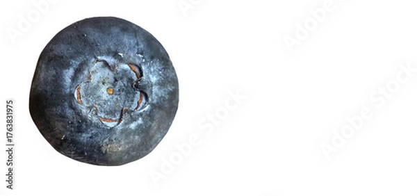 Fototapeta Single Blueberry (Vaccinium corymbosum) Isolated on White Background with Copy Text Space. Fresh Berry Rich in Vitamin C, Vitamin K, Manganese, and Antioxidants. PNG File.