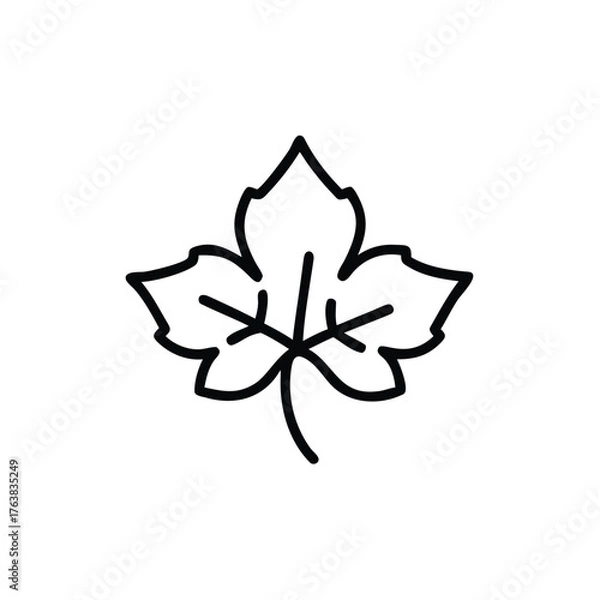 Obraz vector illustration of a flower