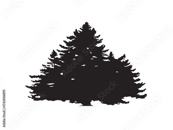 Obraz Giant redwood tree silhouette vector line art in solid black