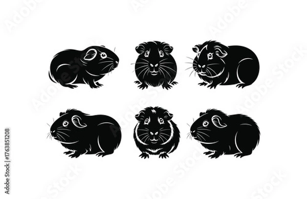 Fototapeta Set of guinea pig silhouettes vector illustration, pet design element collection