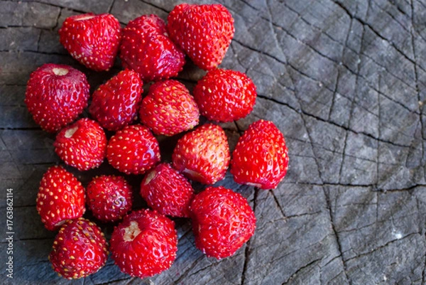 Obraz wild strawberries
