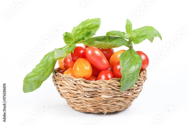 Fototapeta Tomato and Basil