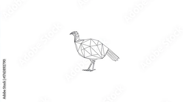 Fototapeta Geometric turkey design
