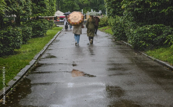 Obraz People with umbrellas in the rain in a city park
