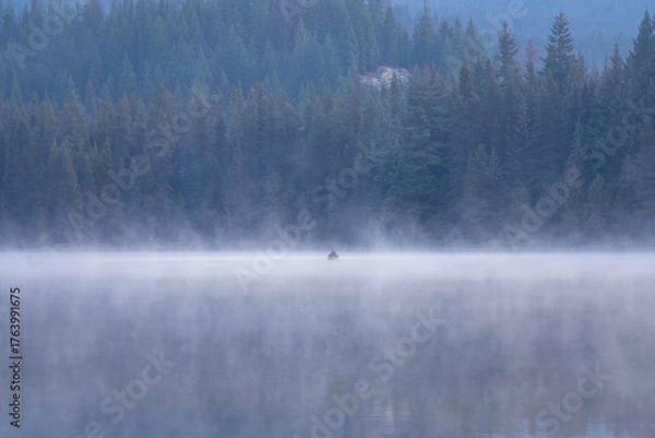Obraz fog on the lake