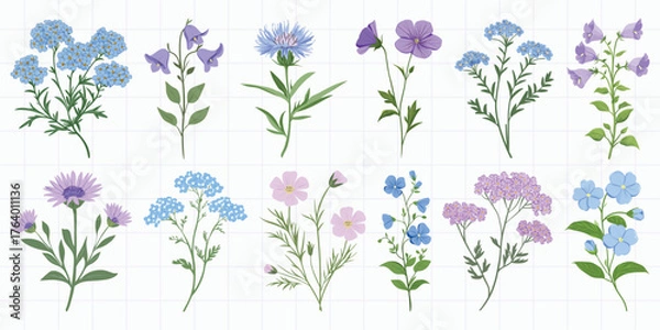 Obraz Colorful botanical floral illustrations, vector set