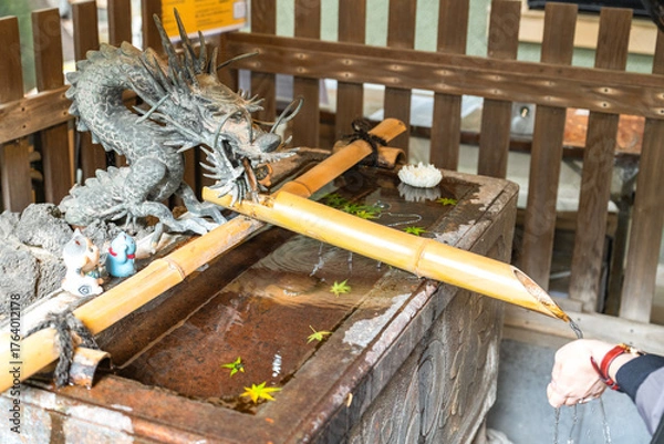 Fototapeta 神社の手水舎で手を清める人の手