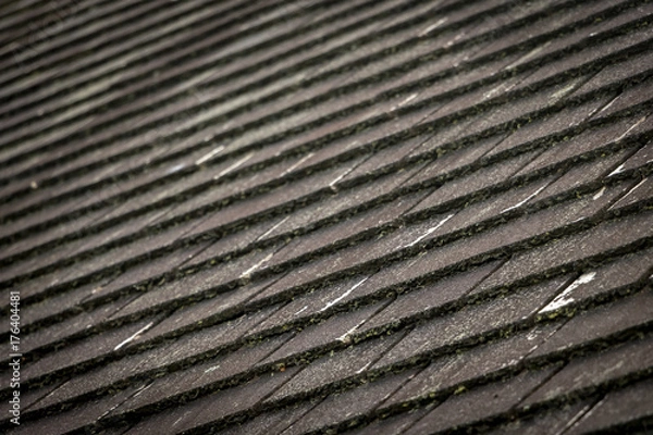 Fototapeta Thatched Roof Tiles Pattern