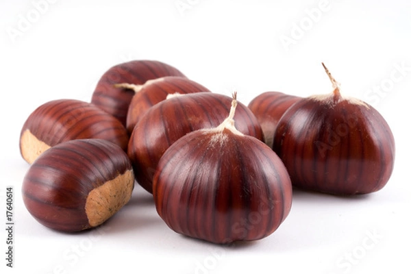 Obraz castagne