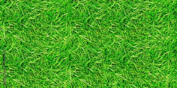 Obraz Background of green grass