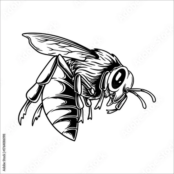 Obraz honey bee silhouette vector hand drawn