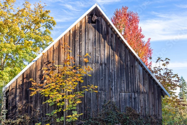 Obraz old barn in autumn