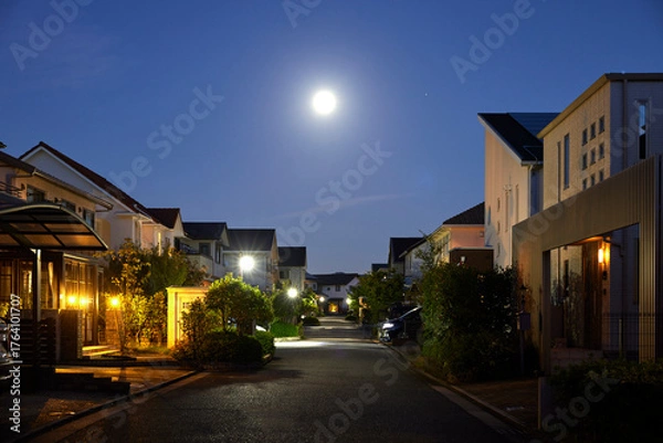 Obraz 夜の静かな住宅街の家網