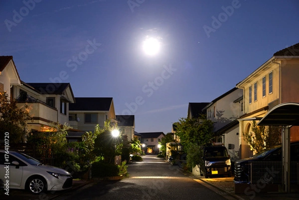 Obraz 夜の静かな住宅街の家網
