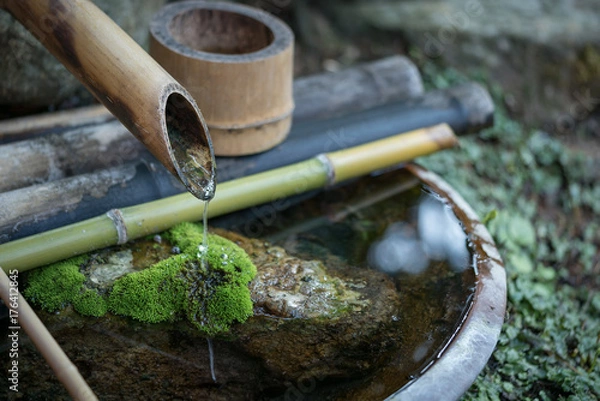 Fototapeta 日本の庭のししおどし