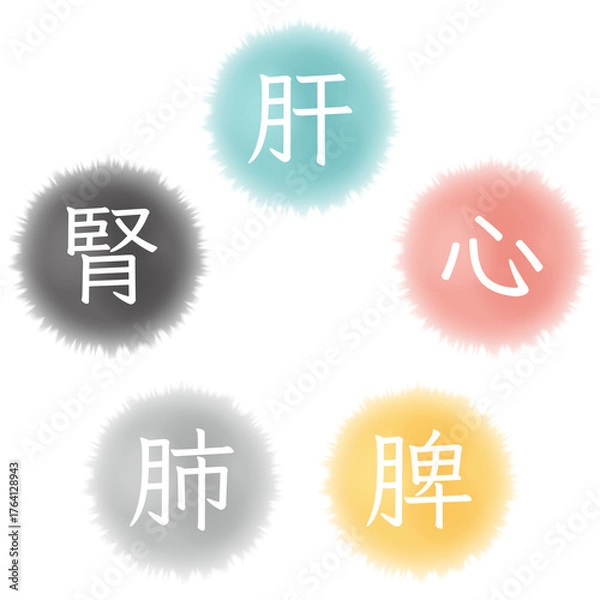 Obraz 東洋医学の五臓