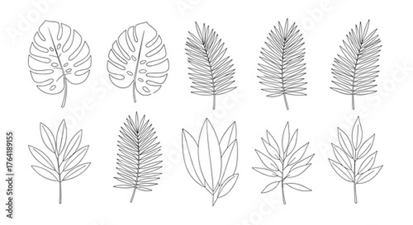 Fototapeta Set of minimalist continuous line drawing tropical plant leaves.