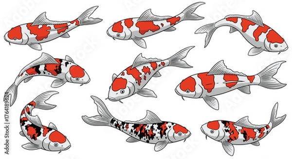 Fototapeta Vibrant Koi Fish Collection with Distinctive Red and Black Markings.