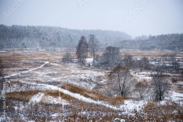Obraz Autumn winter landscape on the field
