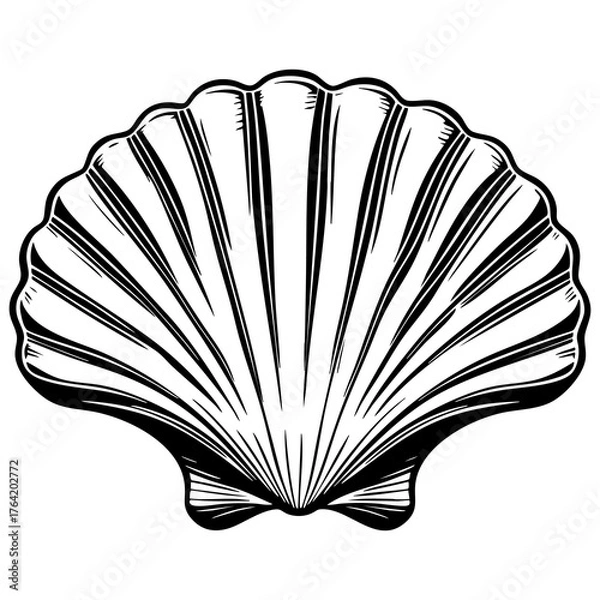 Fototapeta Simple Shell Outline