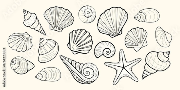 Fototapeta Collection of hand drawn line art illustrations of various seashells and a starfish on a cream background