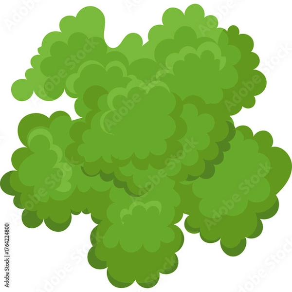 Fototapeta Top View Of Lush Green Tree Canopy With Dense Foliage Isolated On Transparent Background