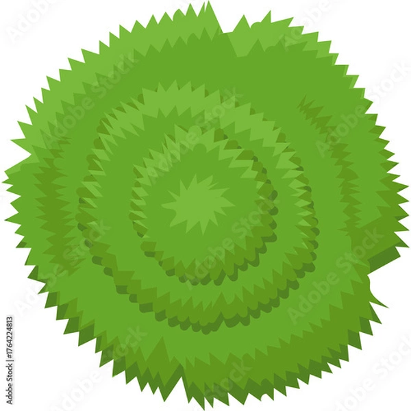 Fototapeta Top View of Lush Green Shrubbery with Concentric Rings of Foliage on Transparent Background Detailed Botanical Illustration
