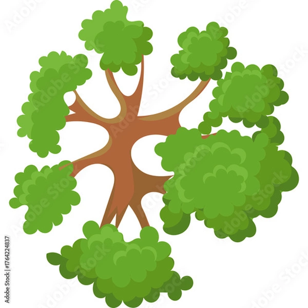 Fototapeta Top View Tree Planting Green Trees In Park With Transparent Background And Detailed Vegetation Illustration