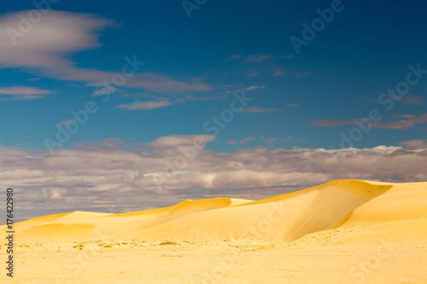 Obraz Sand dune in the desert