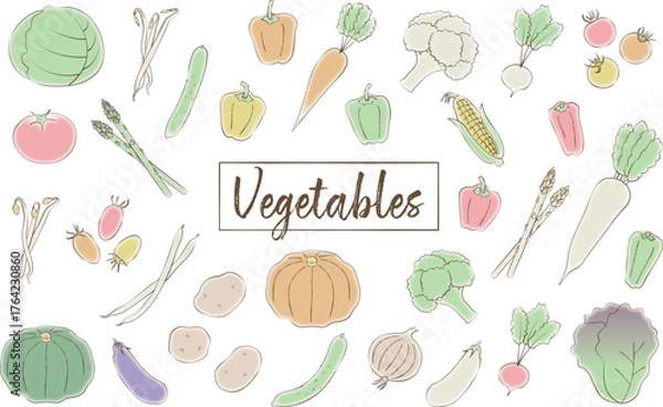Fototapeta 野菜のイラストセット
