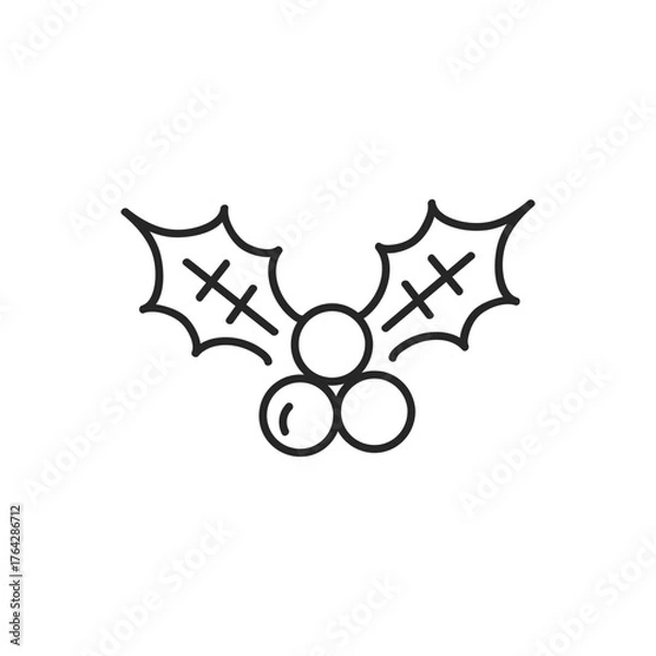 Fototapeta クリスマスホーリー【セイヨウヒイラギ】のアイコン