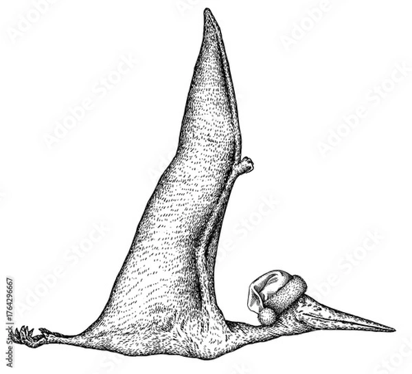 Fototapeta Vintage engraving christmas isolated pterosaur set illustration pterodactylus ink santa costume sketch. Flying dinosaur background silhouette Jurassic new year hat art. Hand drawn image