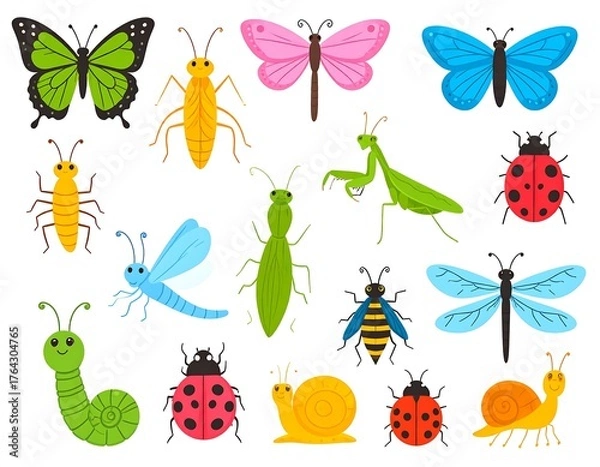 Fototapeta Collection of diverse and colorful insect illustrations on white background